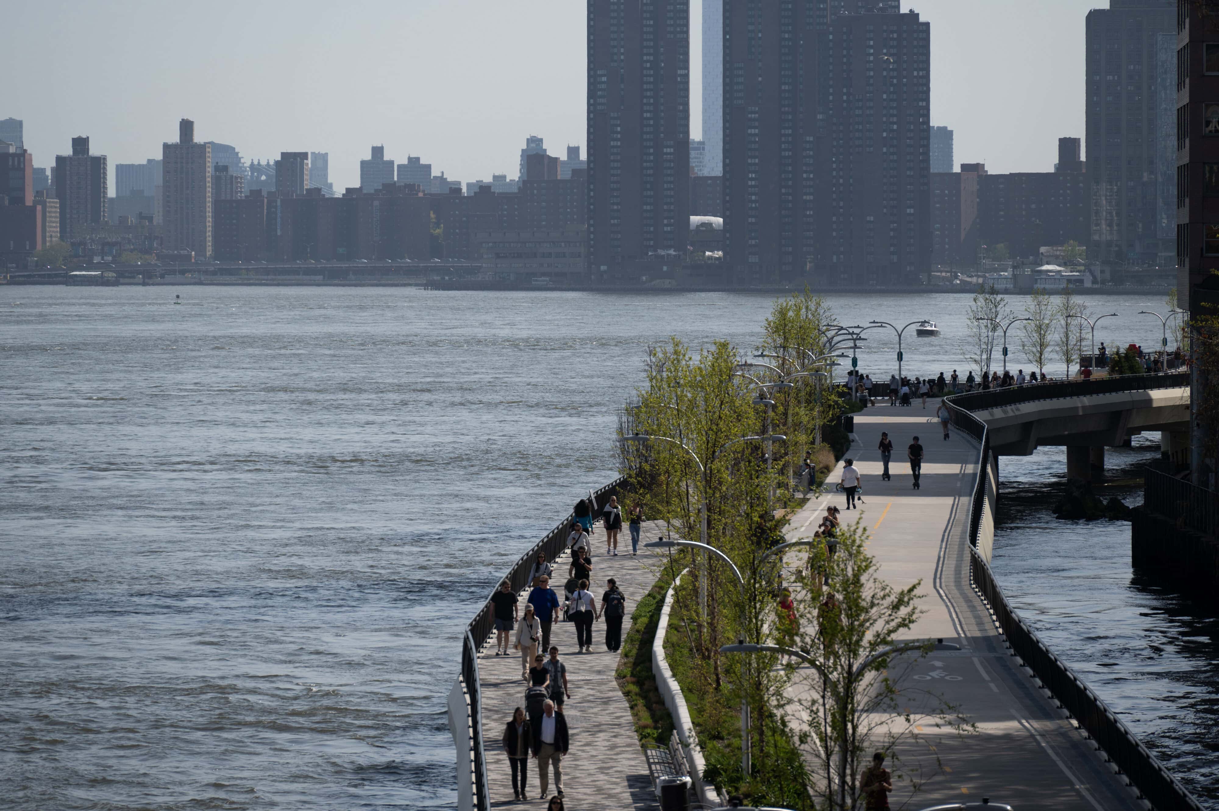 RBB_0236-1_trat RBB_0236-1_trat