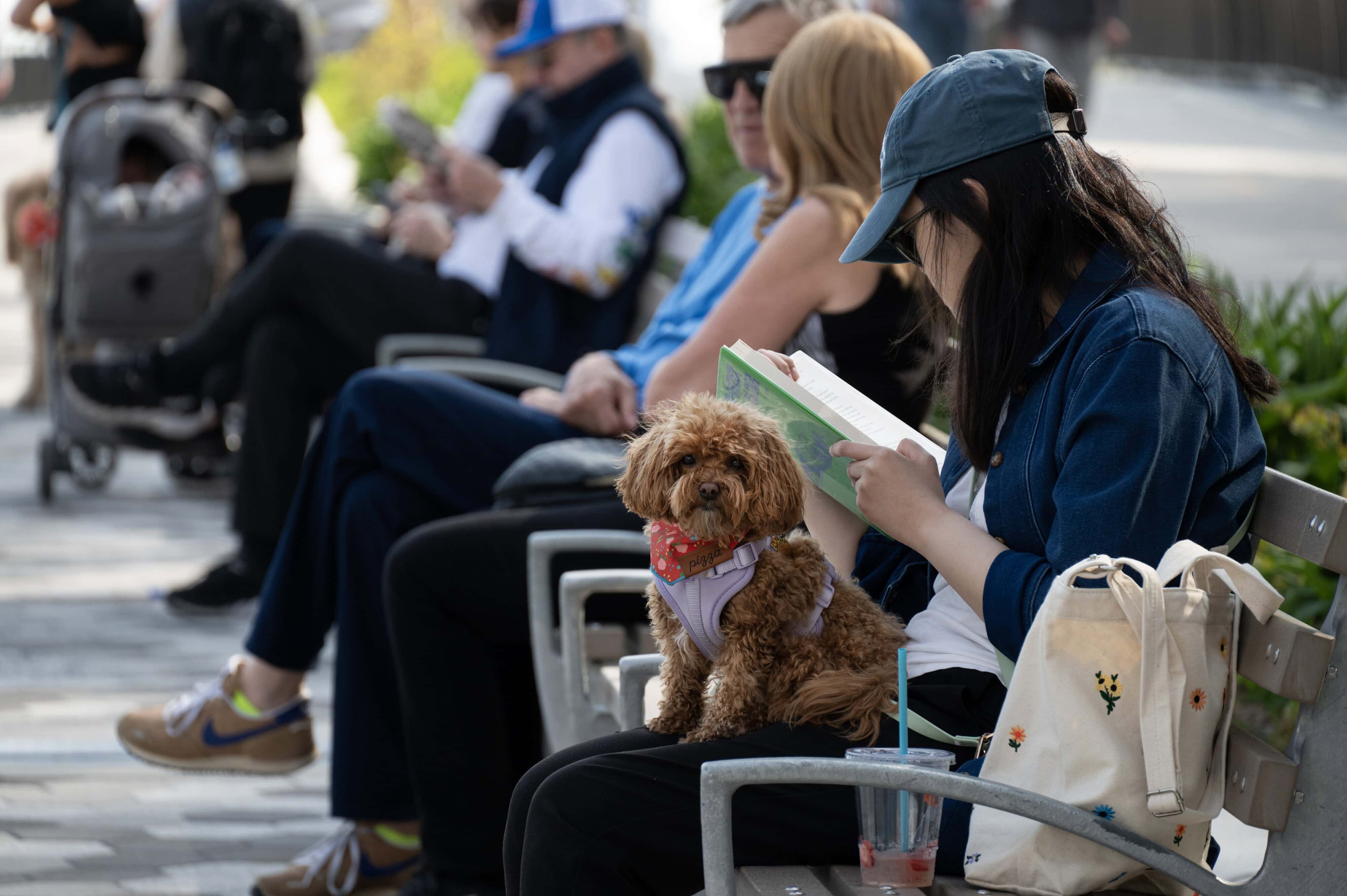 RBB_0276-1_trat RBB_0276-1_trat