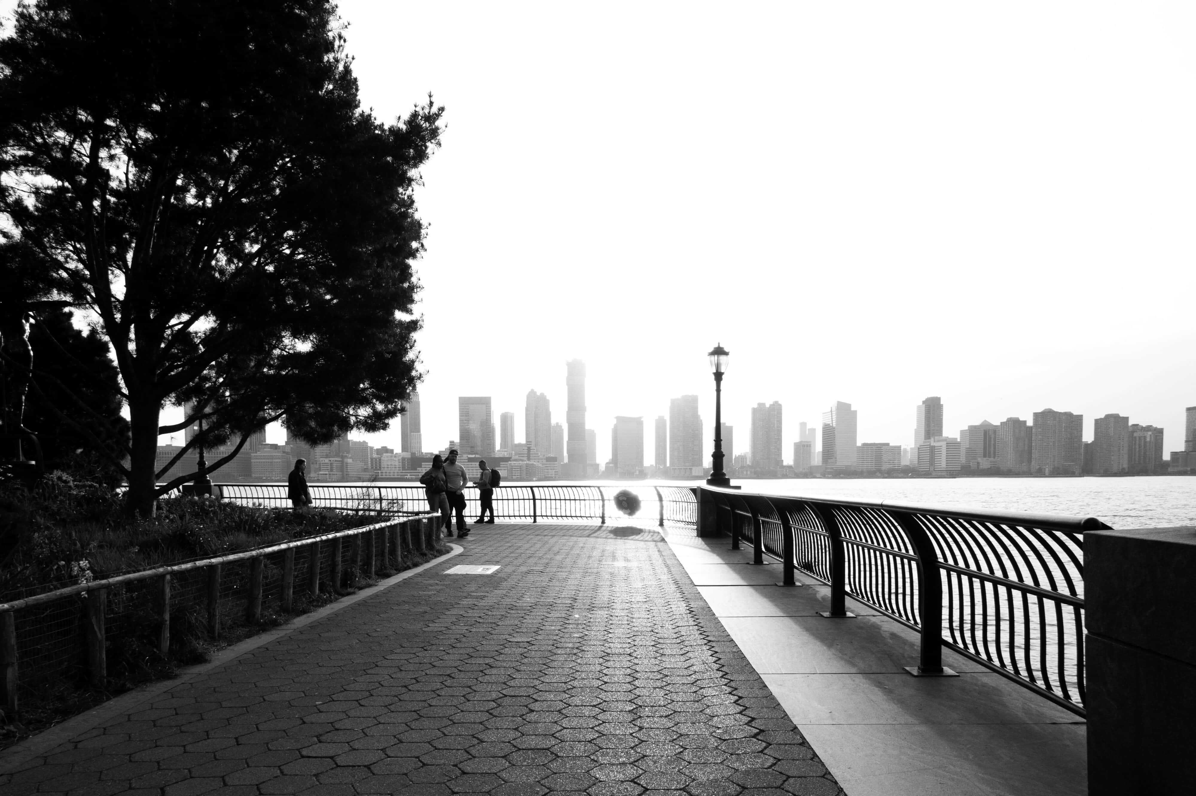 RBB_0361-1_trat_PB RBB_0361-1_trat_PB